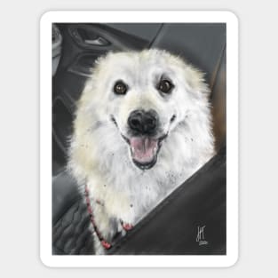 Happy Eskie Riding in a Car Sticker